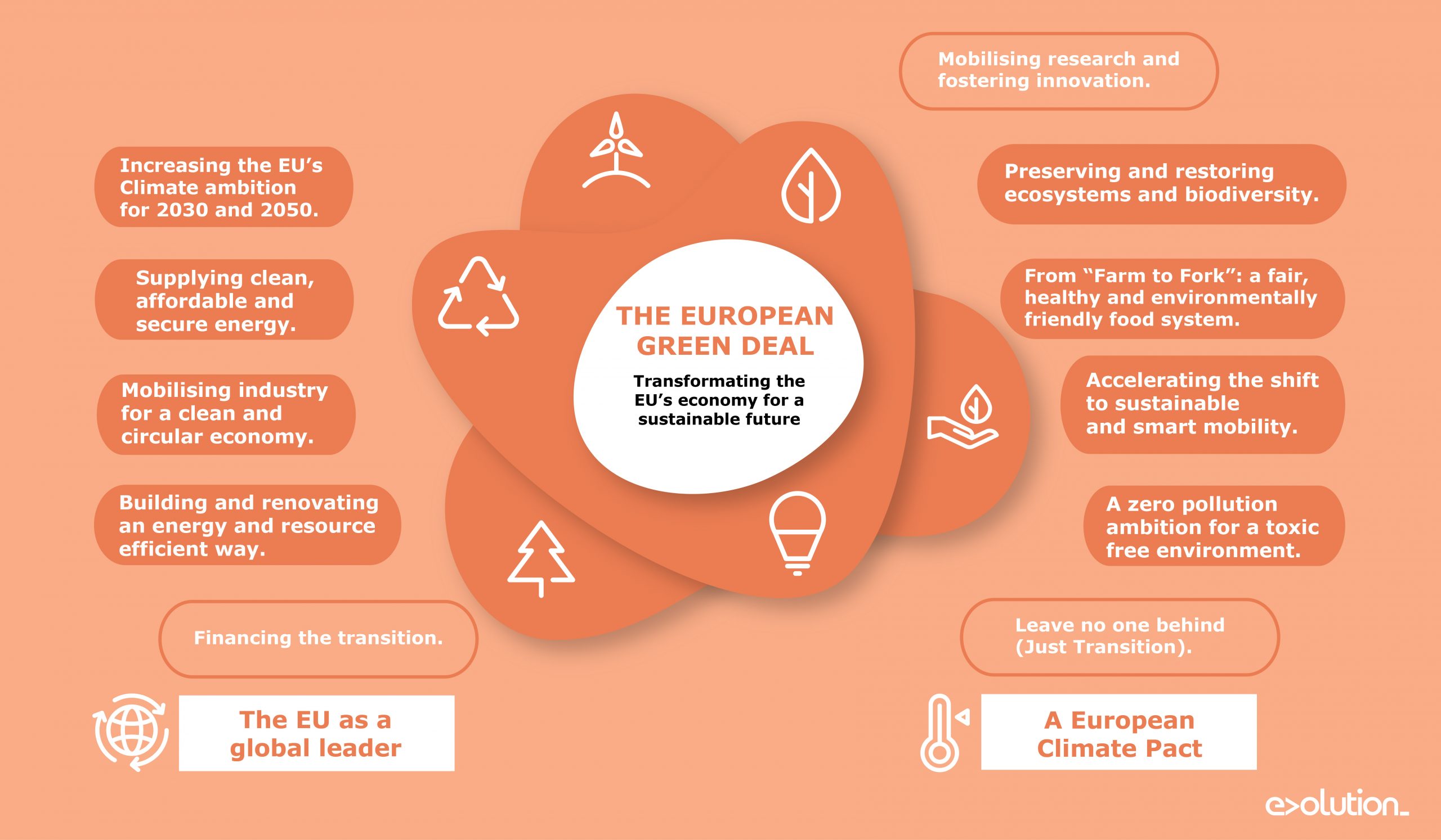 grafismo-1-01-01-01-scaled