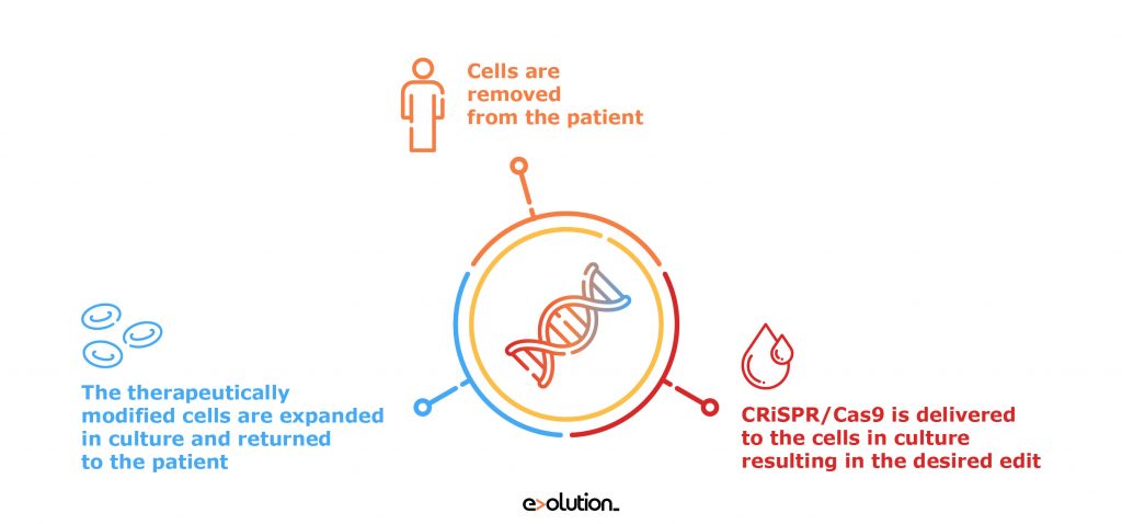 crispr2-01 – Evolution Europe