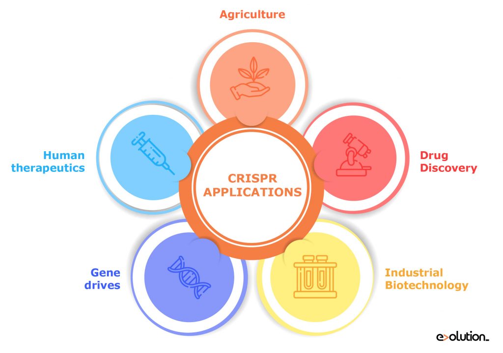 crispr_applications-01 – Evolution Europe