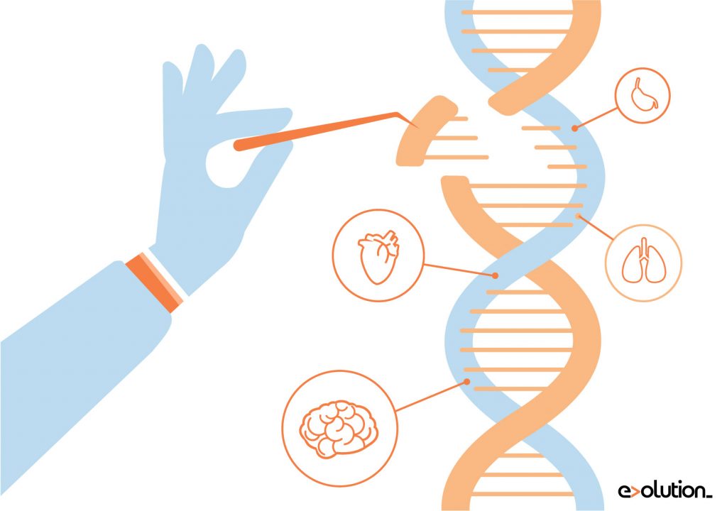 dna-01 – Evolution Europe