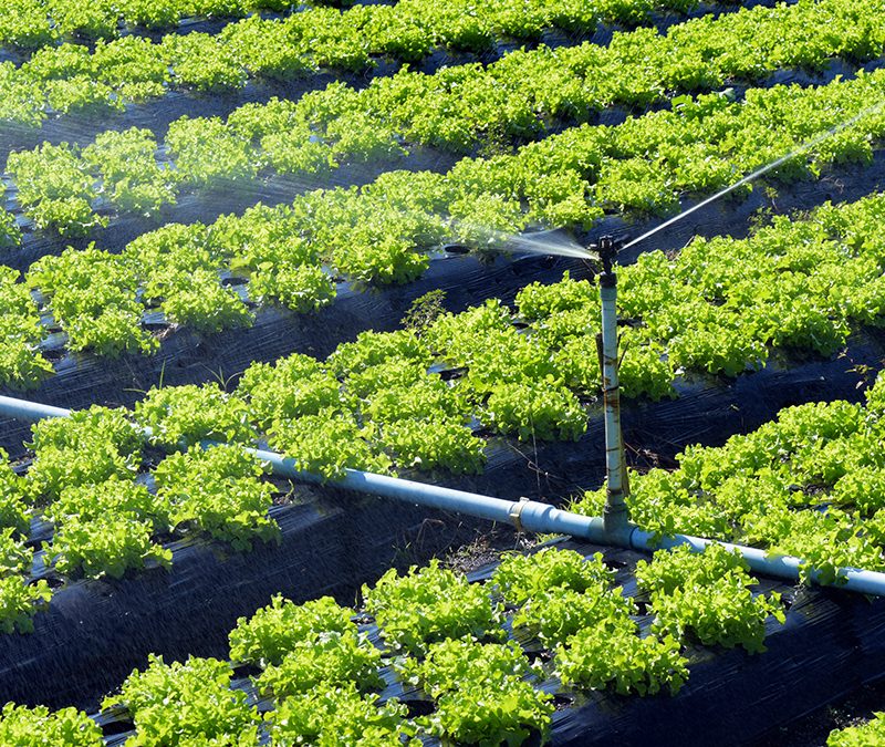 Planet Horizons Technologies – AQUA4D-Pivot