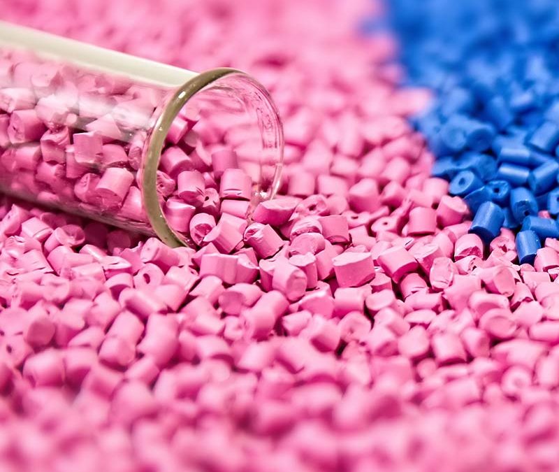 Tusti – EGREMPLARE