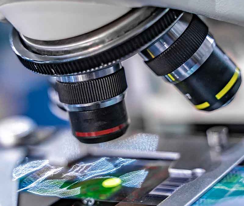 Delmic – Cryo-SECOM Workflow