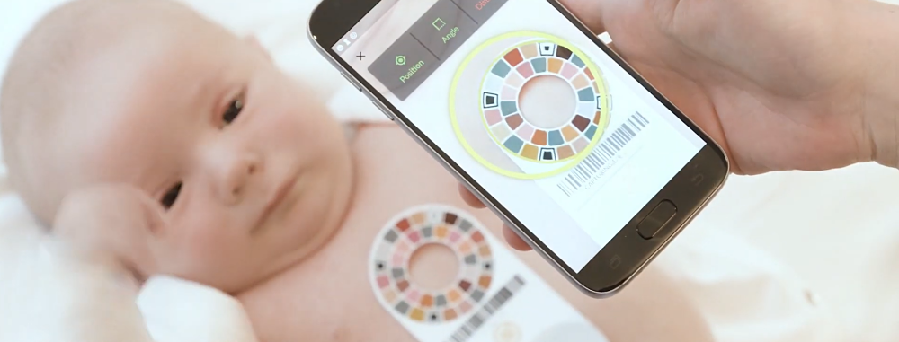 picterus_opt – Evolution Europe