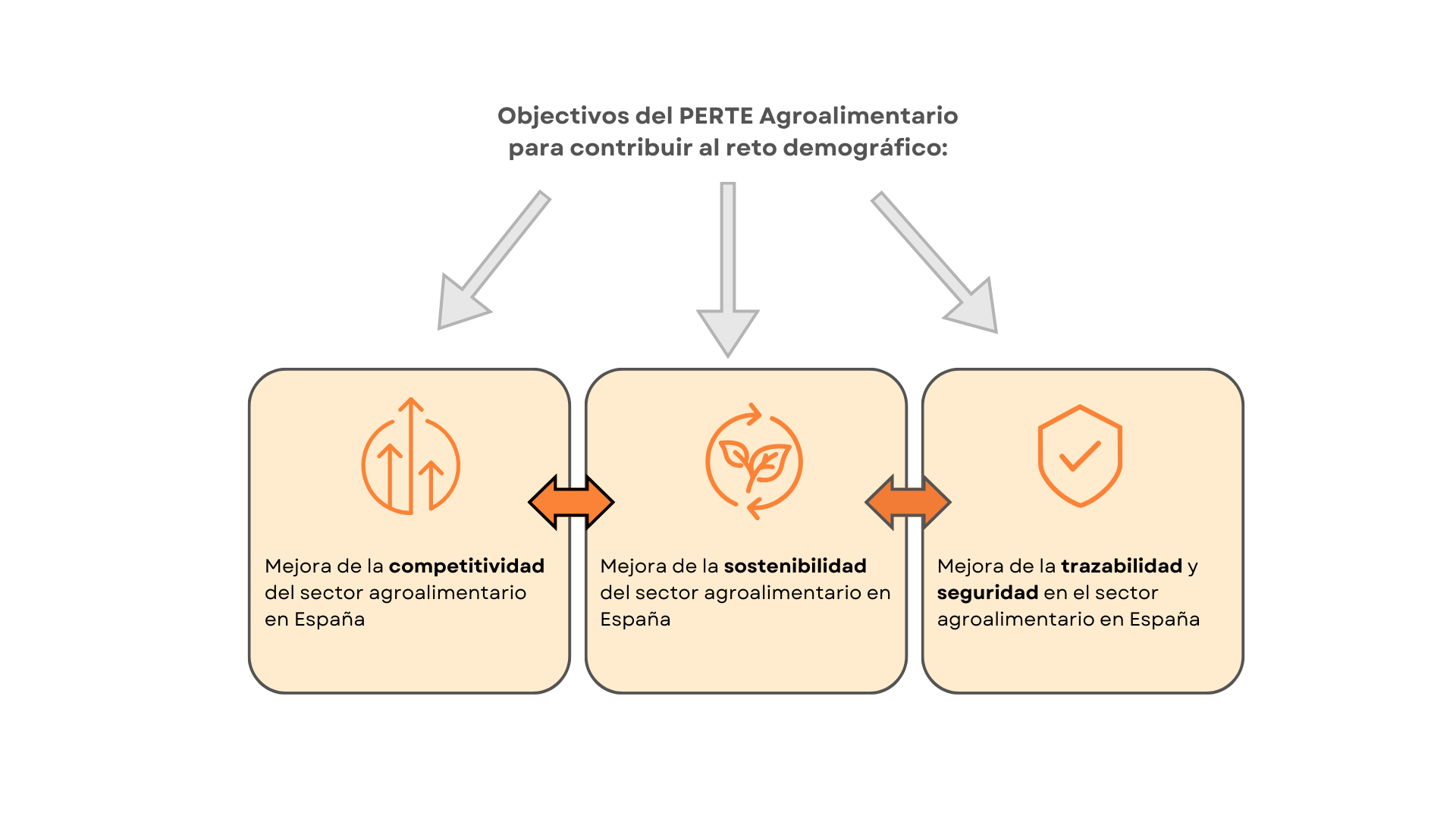3 Objetivos del PERTE Agroalimentario: Competitividad, Sostenibilidad, Trazabilidad y seguridad.