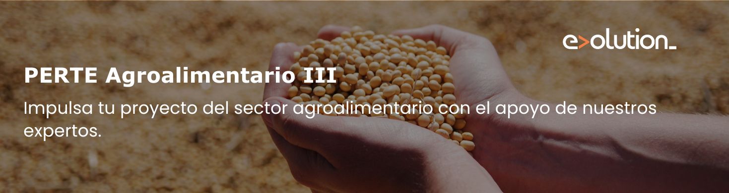 PERTE Economia Circular Convocatoria sector Textil Evolution