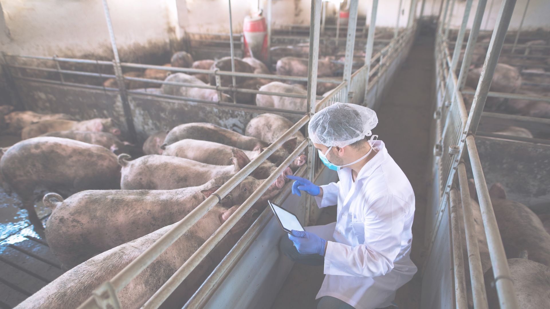 AGROCAT Caso de Exito Post