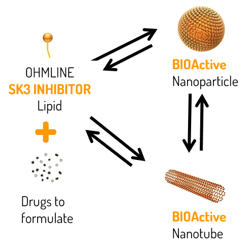 Diagram of Lifesome Therapeutics’ nanoBACTair project showing Ohmline lipid SK3 inhibitor forming bioactive nanoparticles for antimicrobial therapy.