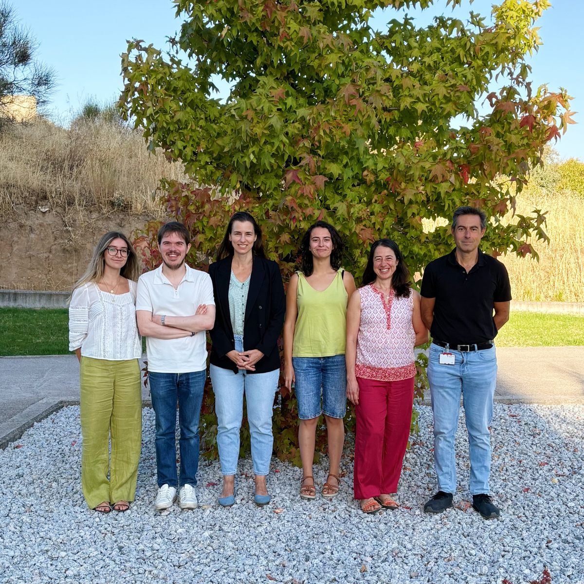 Lifesome Therapeutics team, developing Ohmline