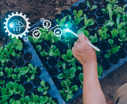 Captura de pantalla (95)