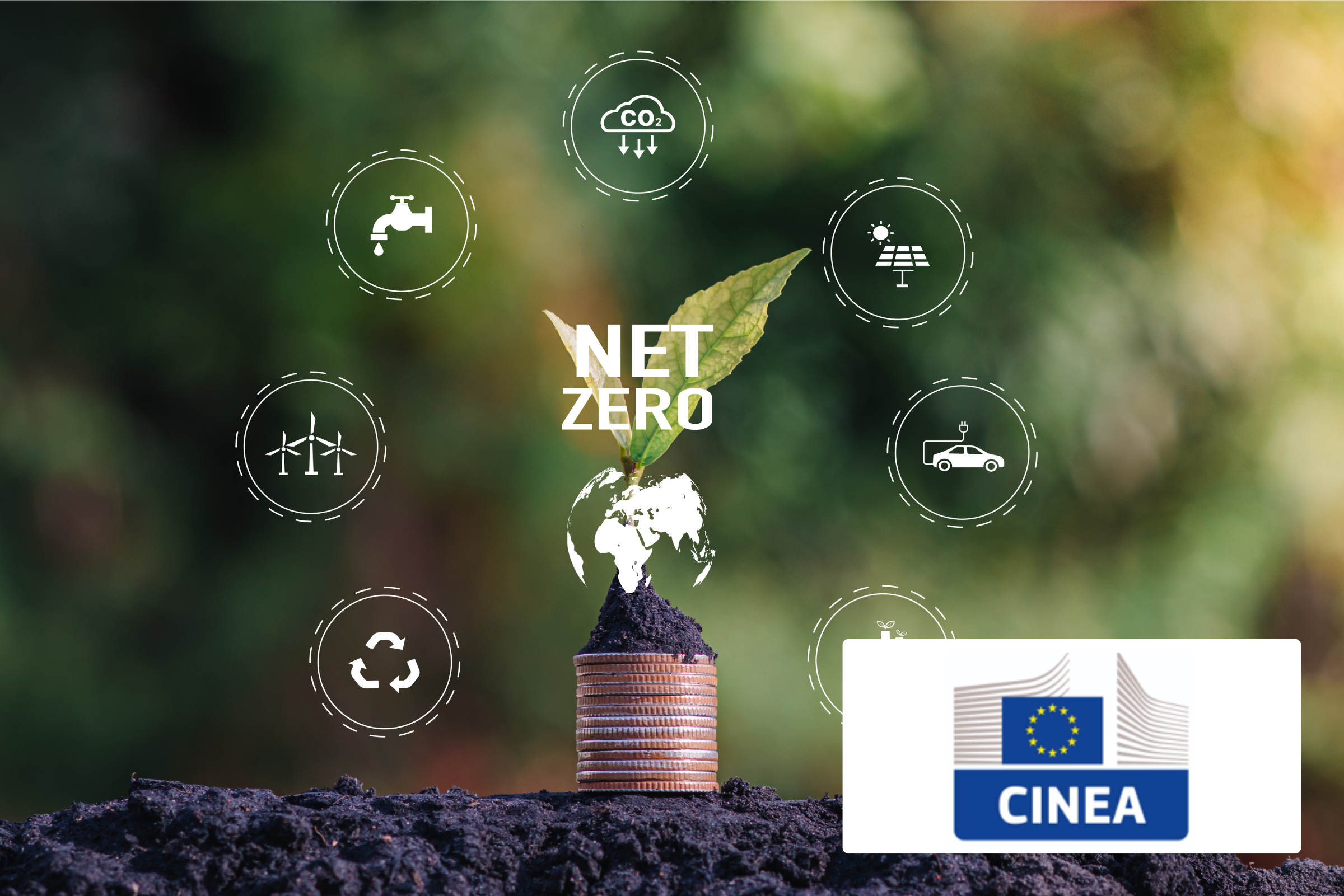 Innovation Fund programme