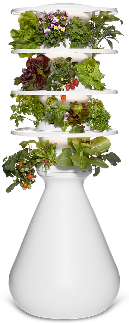 LG_Farmstand_Indoor_Mature_24