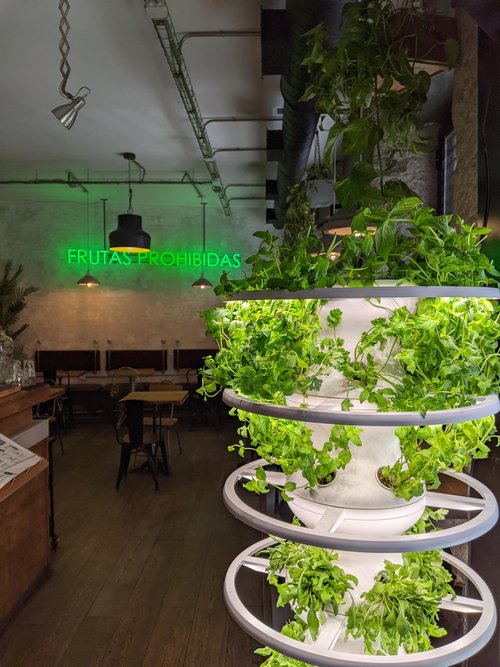 PXL_20230905_141647635