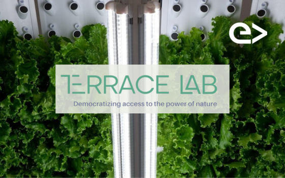 Terracelab Image 2