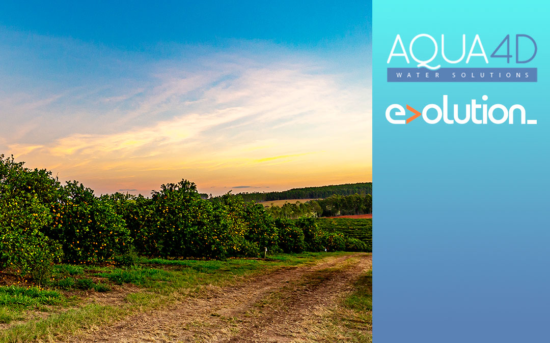 alt_featured image_aqua4d