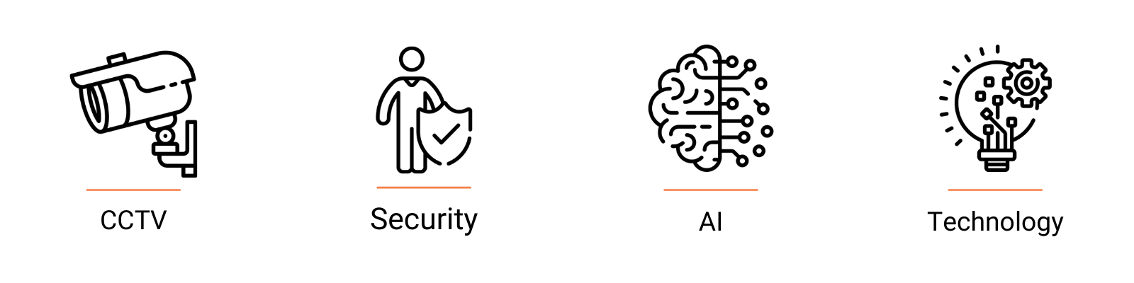 alt_lanaccess_infografía