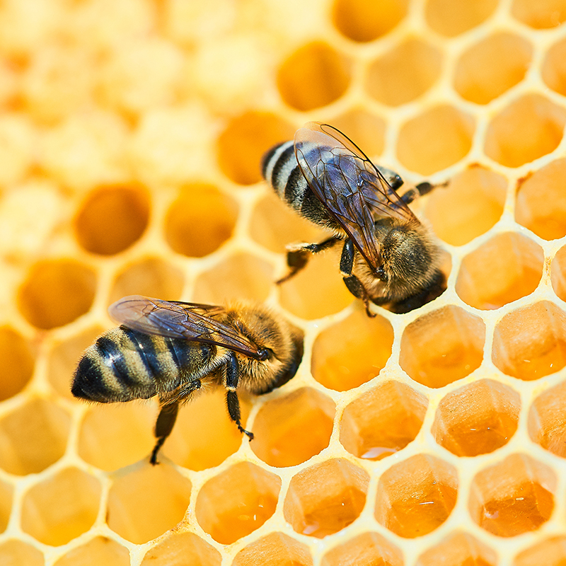 vatorex_featured_image