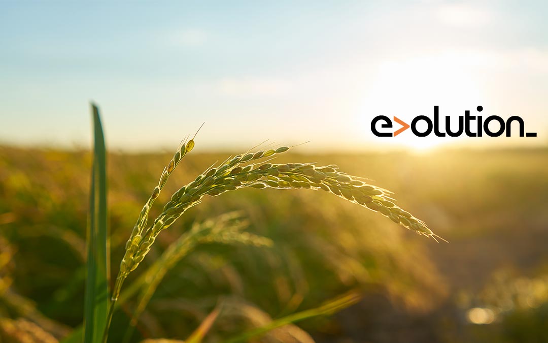 world_environment_day_sustainability