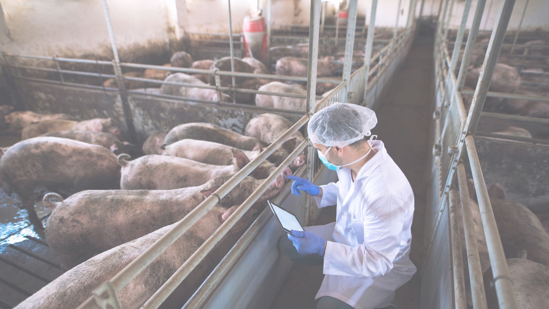 AGROCAT Caso de Exito Post