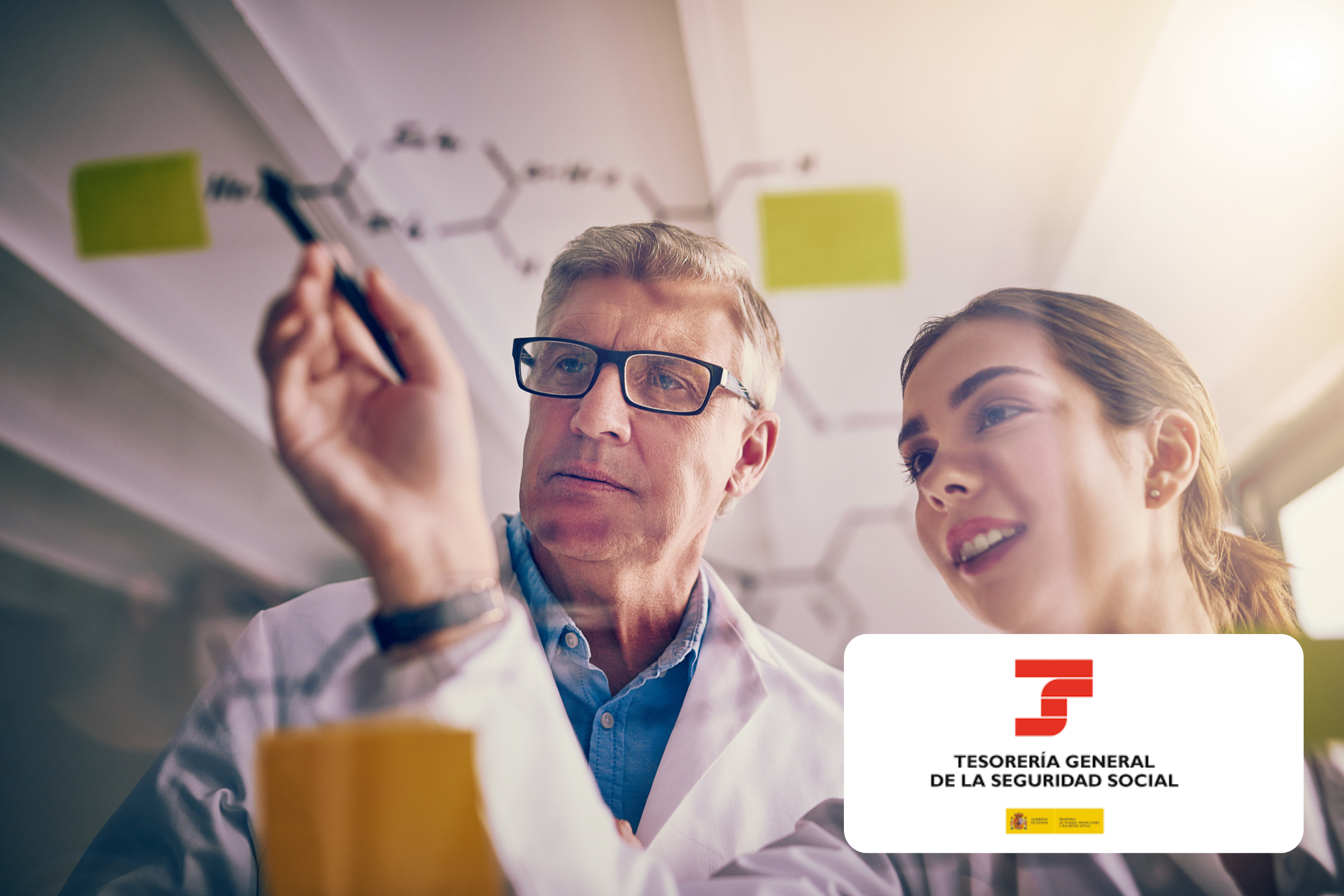 Bonificación a la Seguridad Social por Personal Investigador