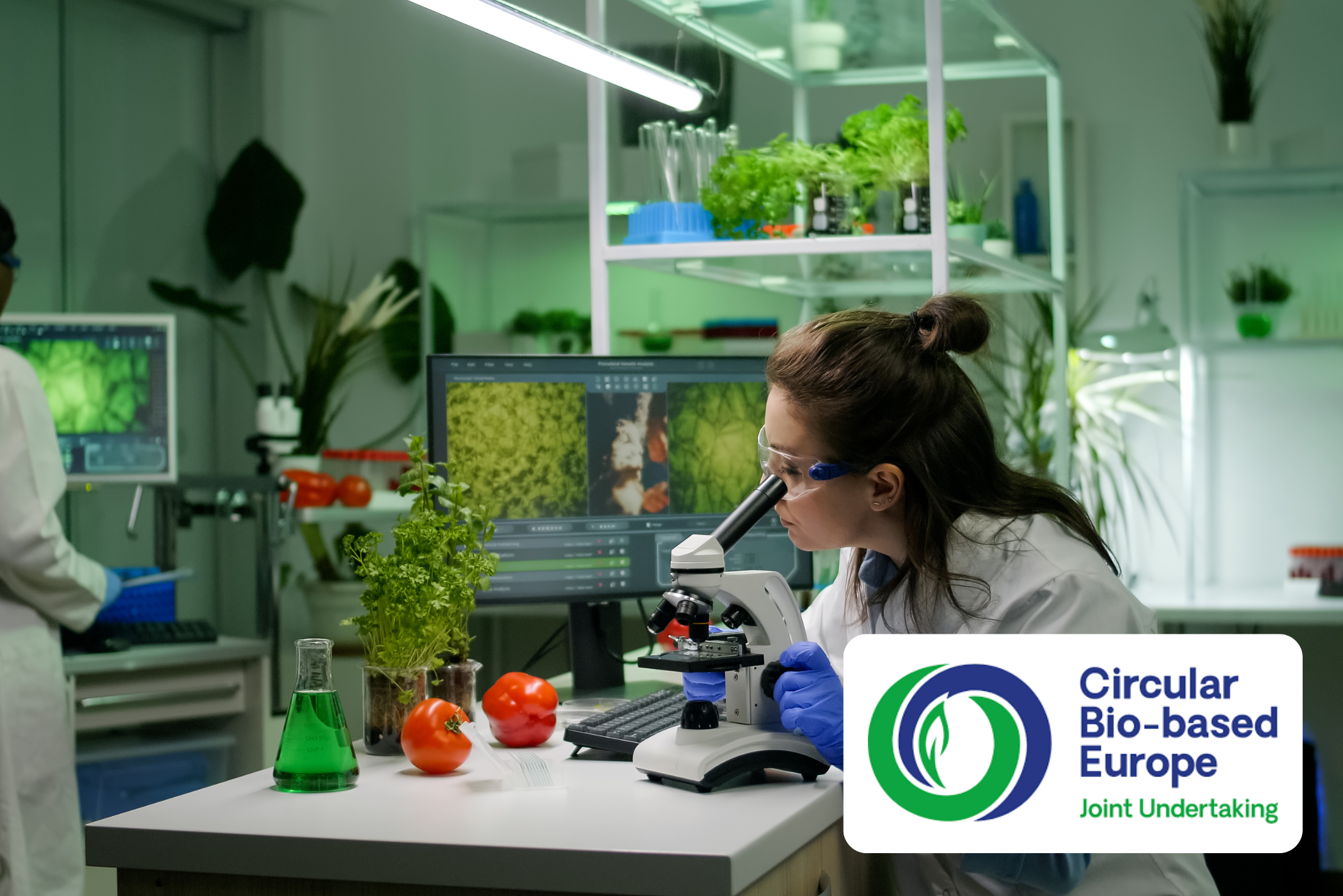 Circular Bio-based Europe Joint Undertaking (CBE JU)