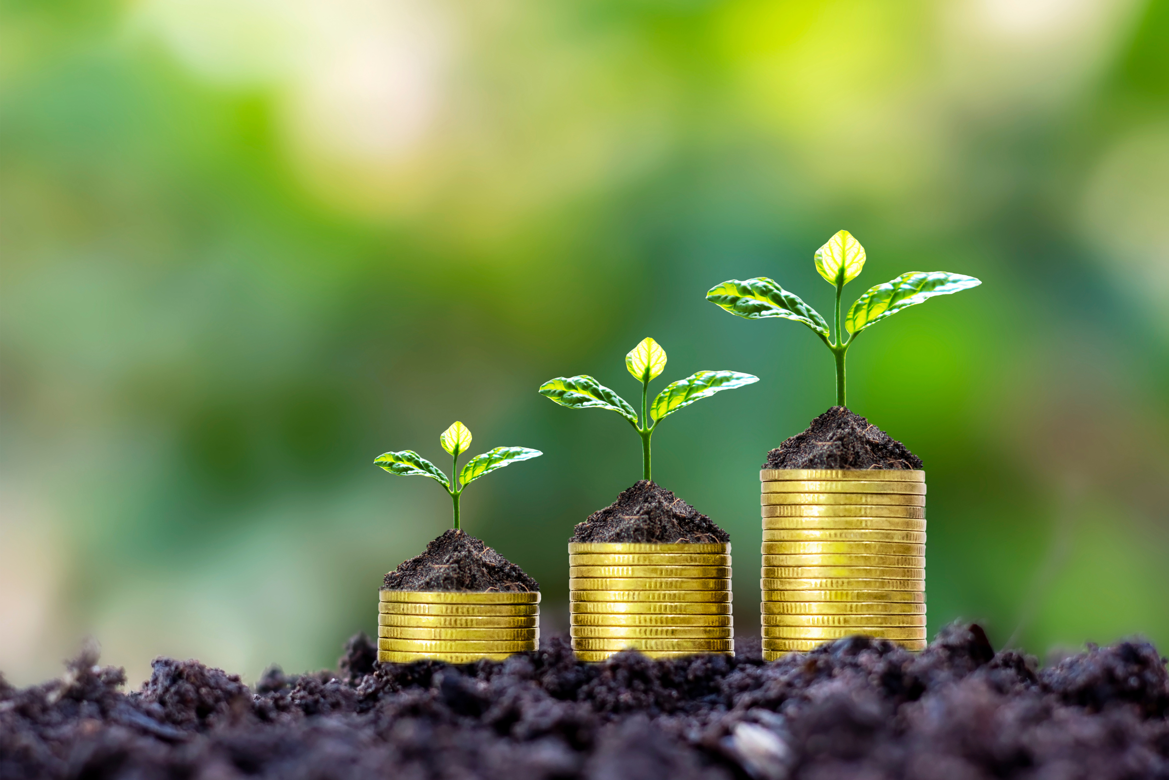 Deducciones Fiscales por I+D+i (1)