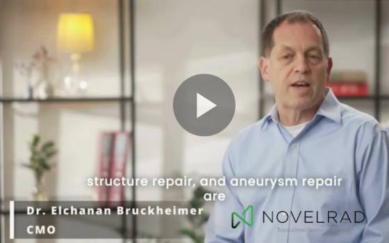 Novelrad Success Story