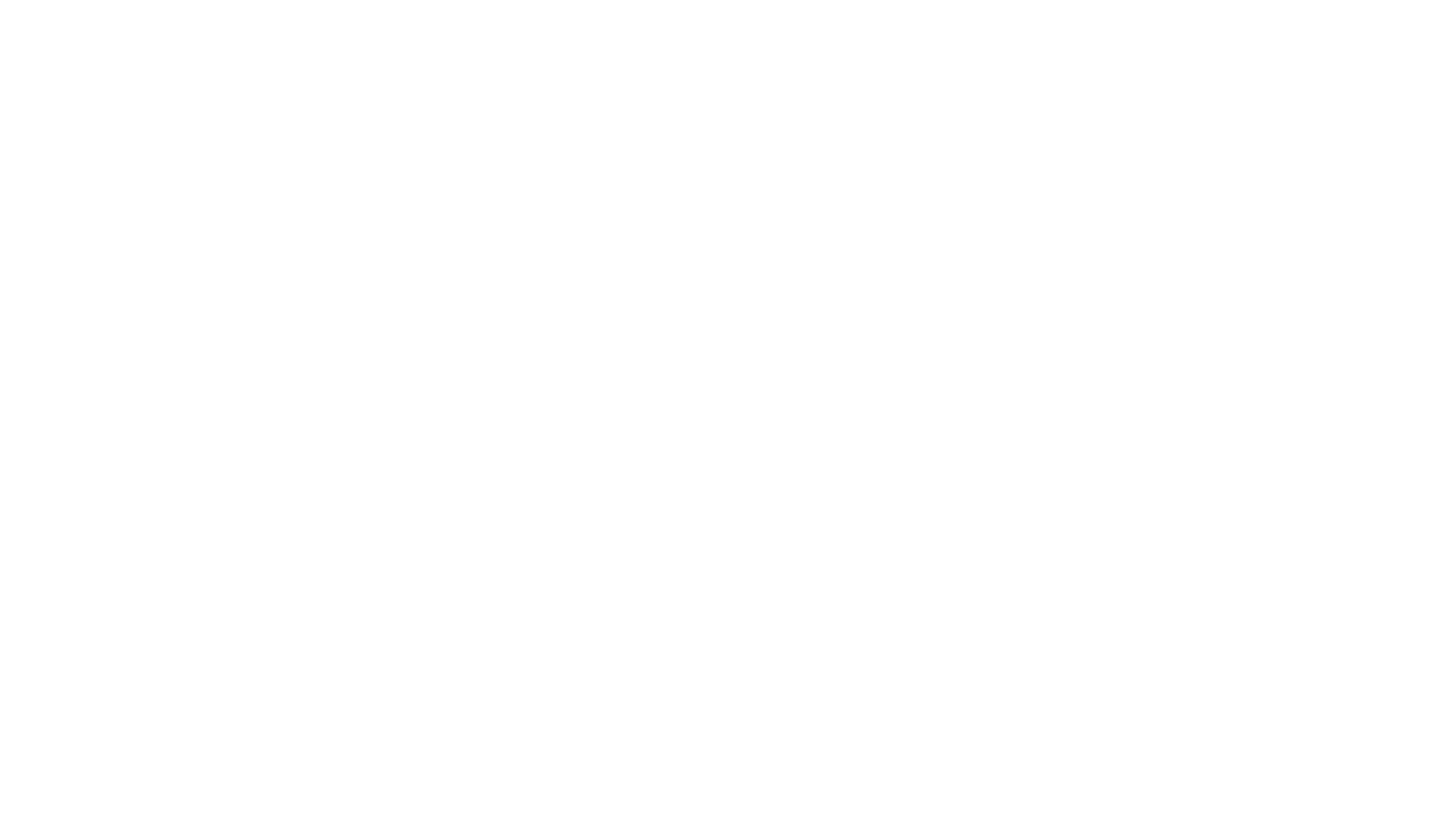 TECSELOR logo White