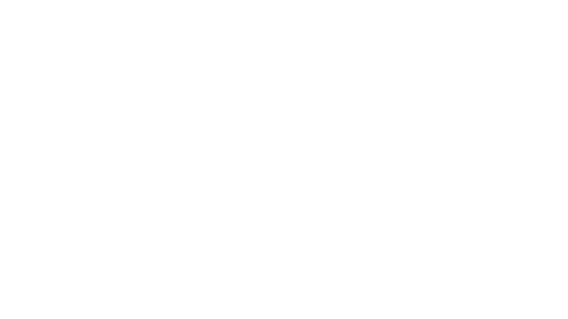 Xeltis logo