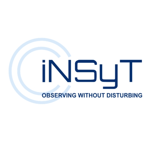 iNSyT soliutions logo