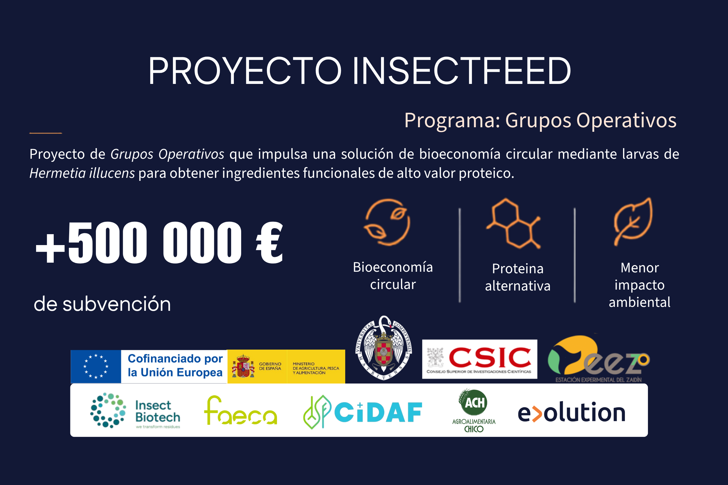 Insectfeed project (1)