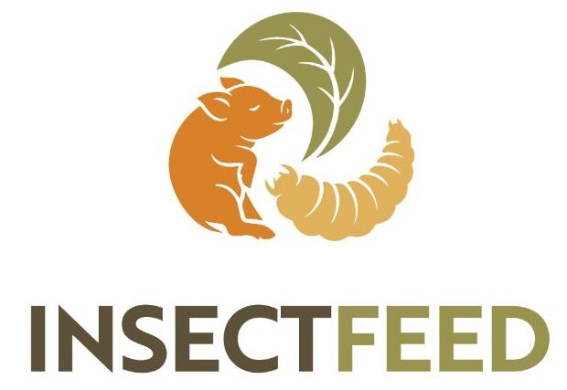 Insectfeed project Logo