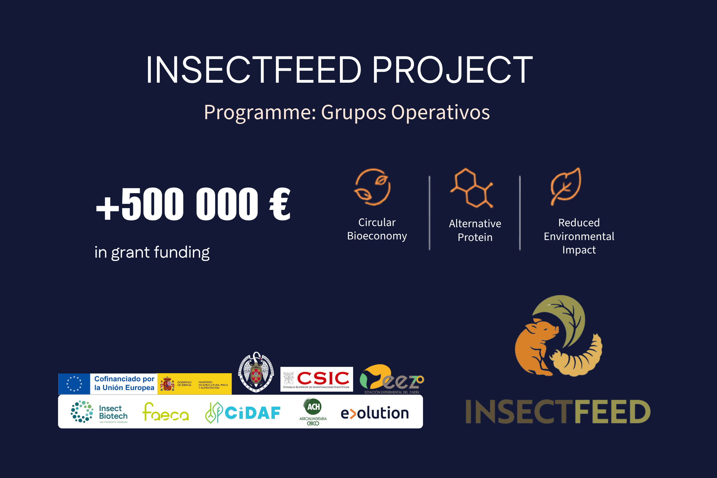 Insectfeed project-english (1)