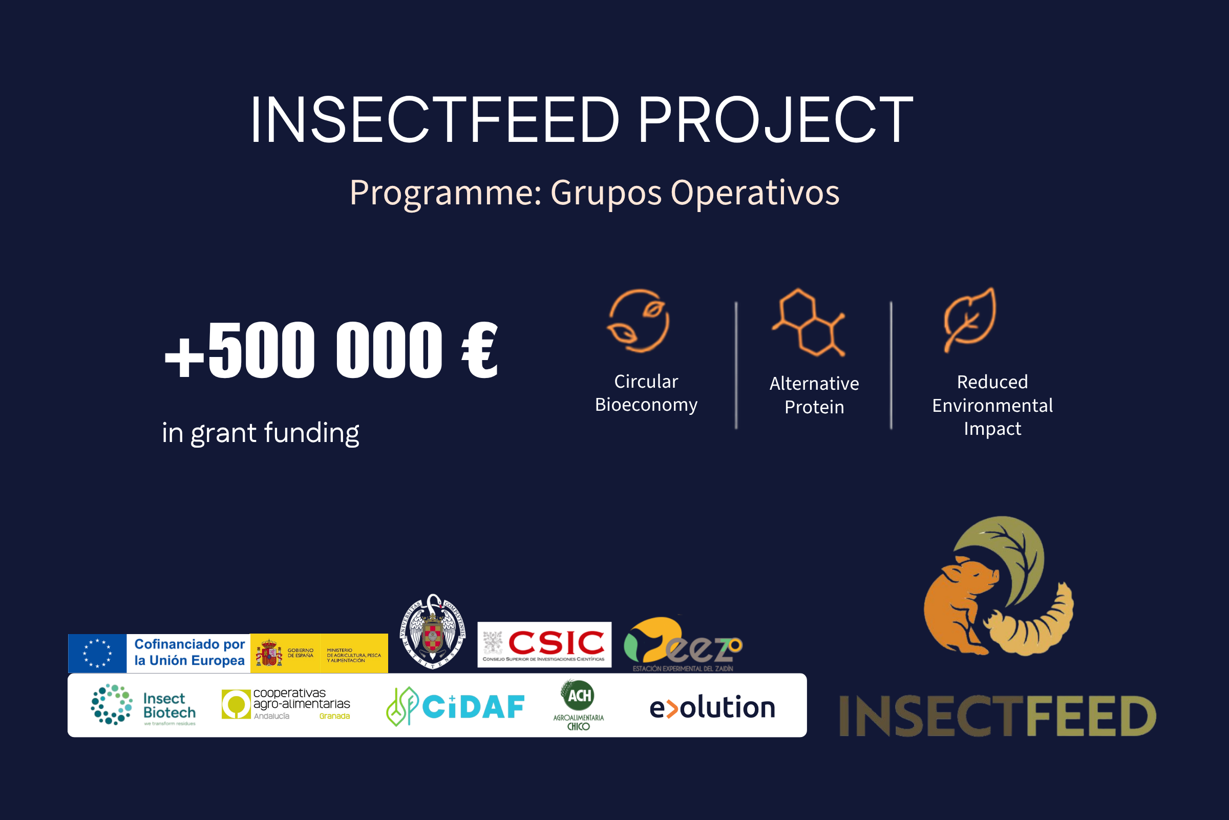 Insectfeed project-english (2)