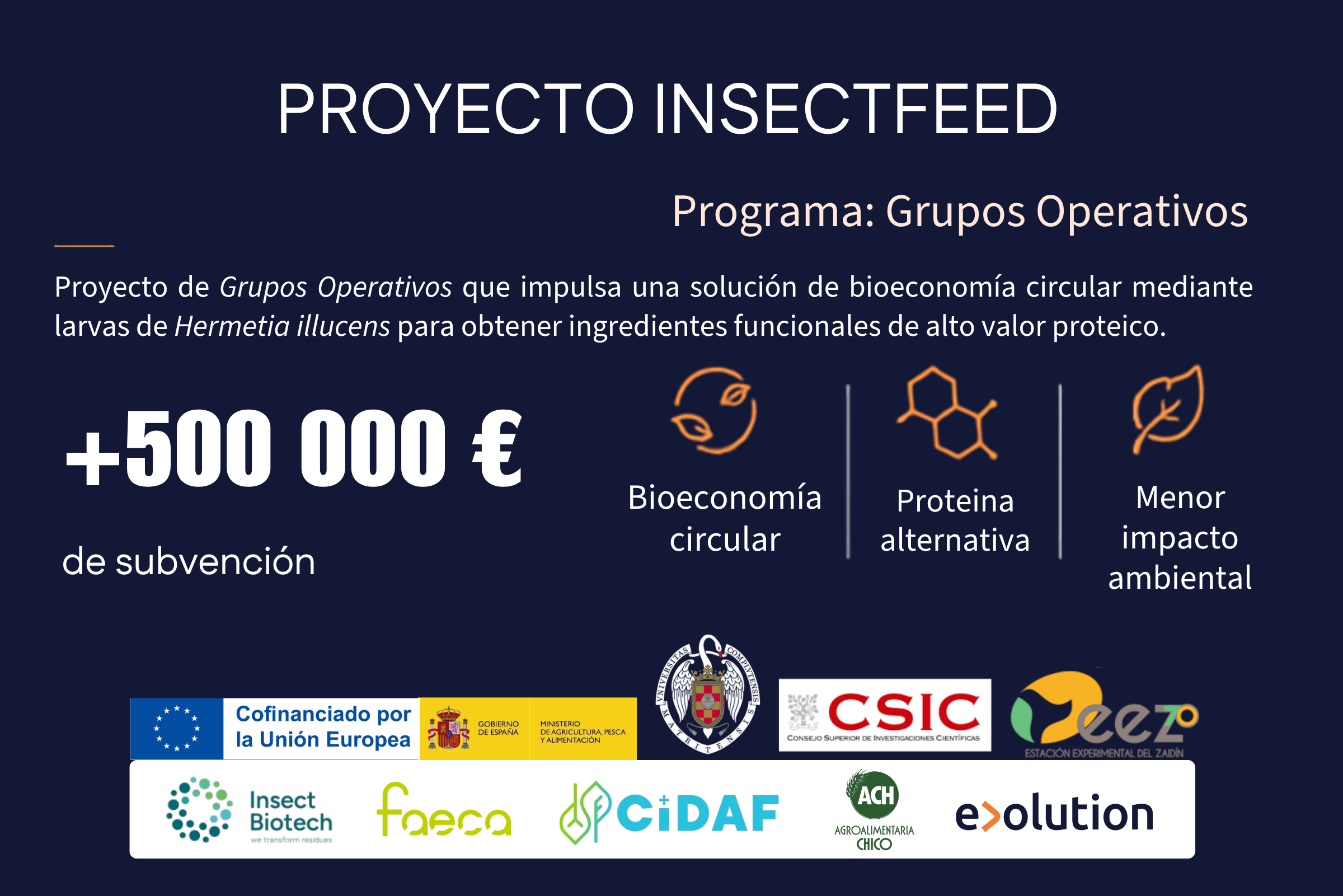 Insectfeed project