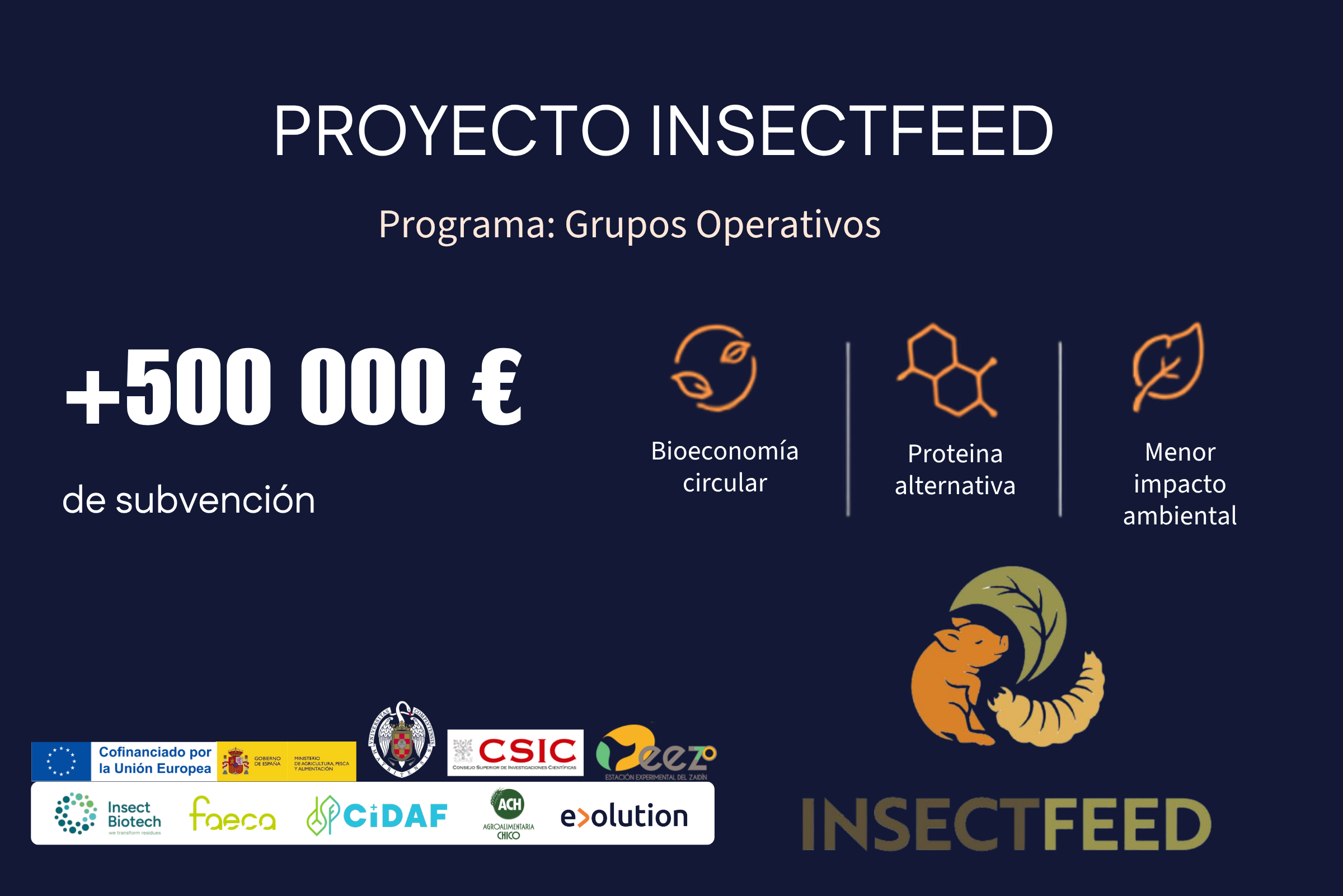 Proyecto-Insectfeed-grupos-operativos (1)