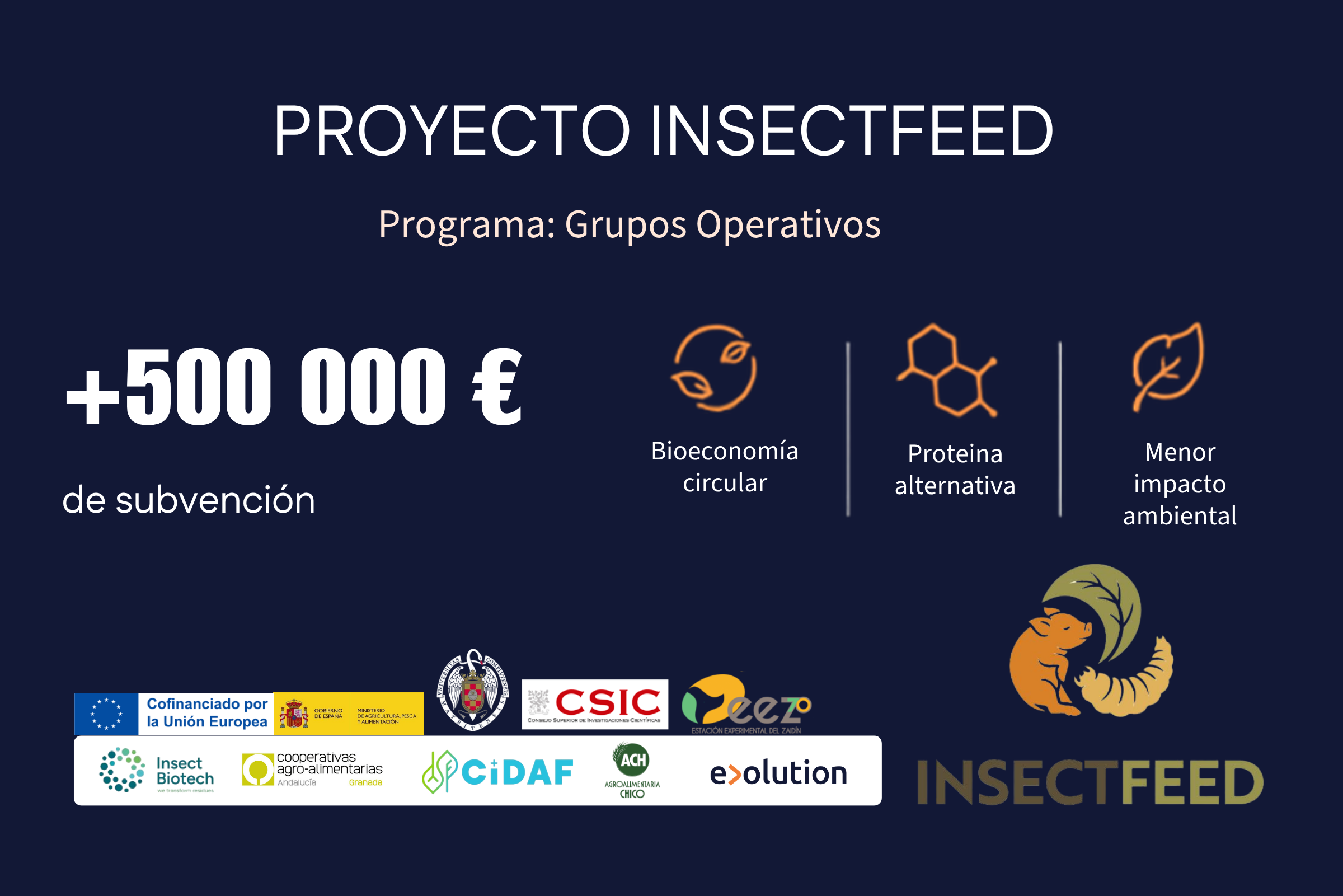 Proyecto-Insectfeed-grupos-operativos (2)